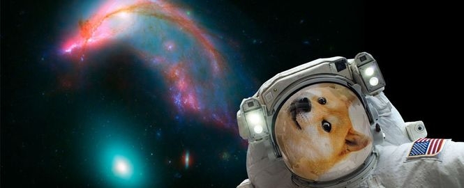 NASA опубликовало приложение для создания селфи в космосе