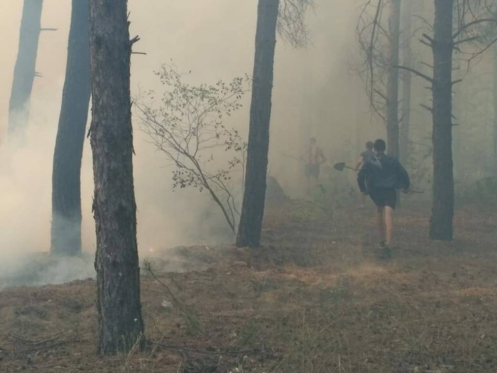 На Николаевщине горит лес. Площадь пожара – 3 га 15
