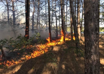 На Николаевщине 4 раза тушили пожары в частном секторе и трижды – в лесах
