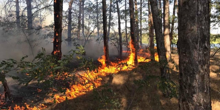 На Николаевщине 4 раза тушили пожары в частном секторе и трижды – в лесах