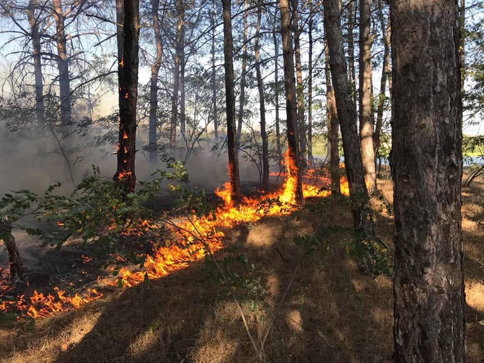 На Николаевщине 4 раза тушили пожары в частном секторе и трижды – в лесах 15