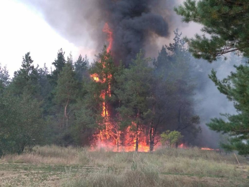 На Николаевщине горит лес. Площадь пожара – 3 га 17