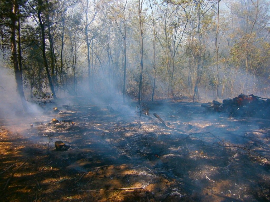 На Николаевщине 4 раза тушили пожары в частном секторе и трижды – в лесах 17
