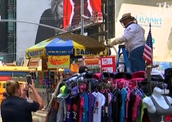 Все пропало, пчелы прилетели. Центр Нью-Йорка захватил бездомный рой