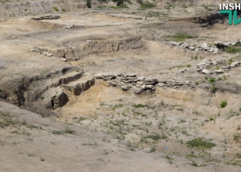 До 1 сентября городище «Дикий сад» обещают подсветить и облагородить