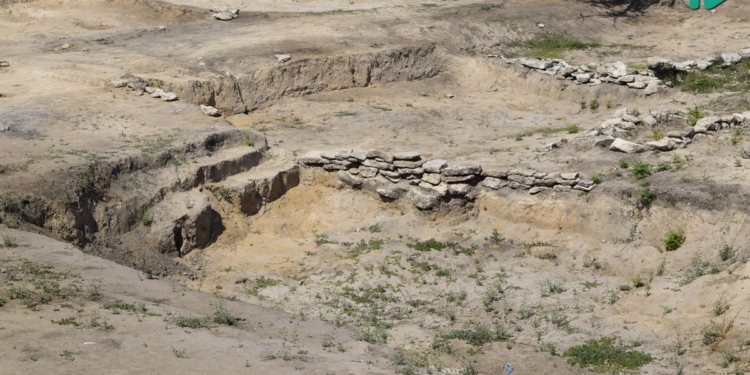 До 1 сентября городище «Дикий сад» обещают подсветить и облагородить