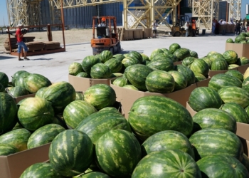 Сюрприз к празднику – с терминала «НИБУЛОНа» в Киев ушла баржа с херсонскими арбузами