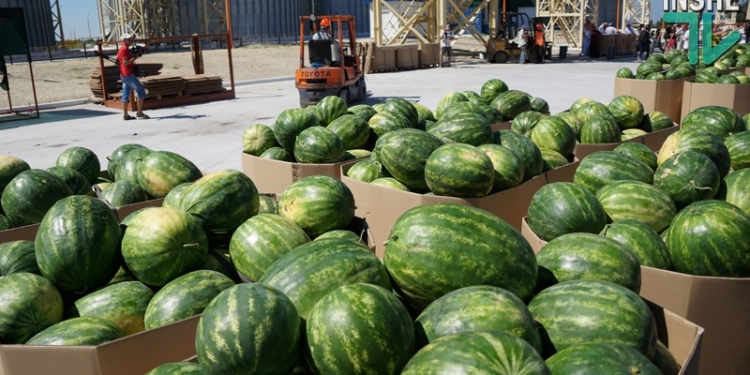 Сюрприз к празднику – с терминала «НИБУЛОНа» в Киев ушла баржа с херсонскими арбузами