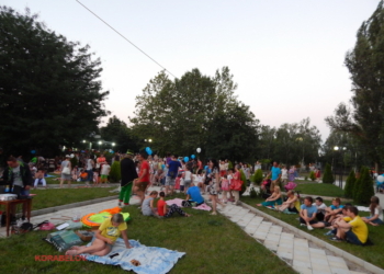 Бесплатные кинопоказы в дендропарке Корабельного района сорваны – украли аппаратуру