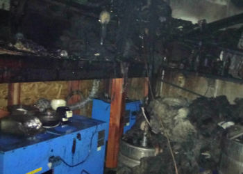 В Березнеговатом сгорел бар. Магазин успели спасти