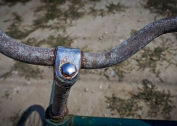 Едкий туман, сады сгорели. Что происходит в Крыму?