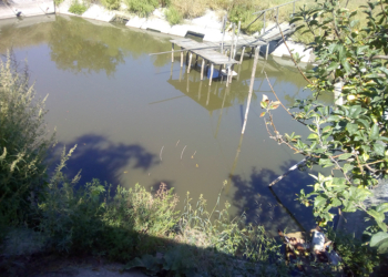 Вода – не всегда жизнь. В Первомайском районе мужчина утонул, в Очакове успели спасти