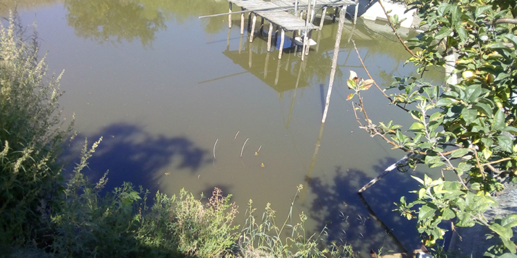Вода – не всегда жизнь. В Первомайском районе мужчина утонул, в Очакове успели спасти