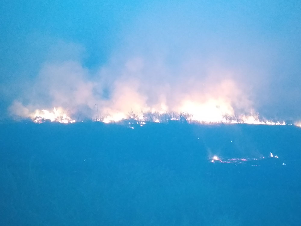 Небрежное обращение с огнем на природе привело к 21 пожару на Николаевщине 5