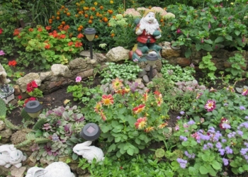 На финишную прямую вышел конкурс «Городские цветы». В нем участвуют больше 200 николаевцев