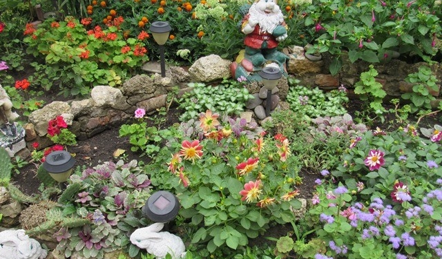 На финишную прямую вышел конкурс «Городские цветы». В нем участвуют больше 200 николаевцев