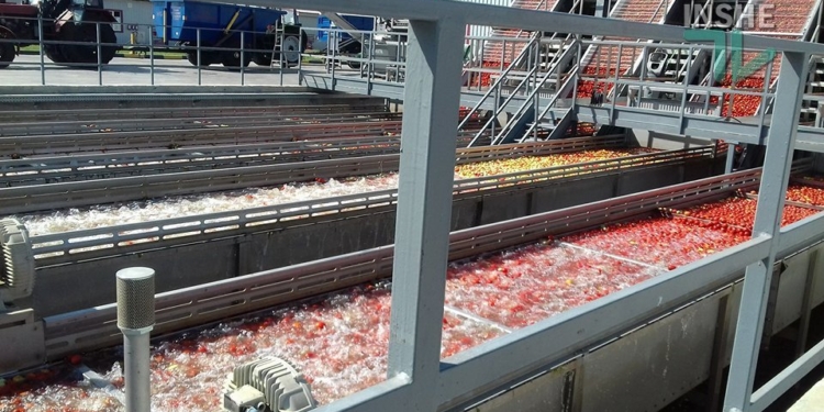 Порошенко заложил первый кирпич  нового завода AgroFusion  на Николаевщине