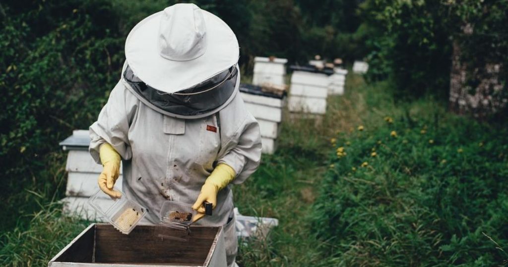 Глава «Союза пасечников Николаевской области»: Украинские пчеловоды не готовы к введению евростандартов 1