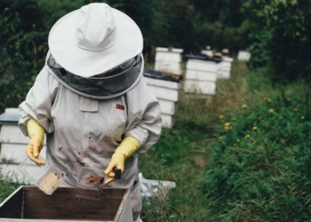 Глава «Союза пасечников Николаевской области»: Украинские пчеловоды не готовы к введению евростандартов