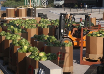 Радуйтесь, киевляне, “НИБУЛОН” готовит следующий “полосатый рейс”