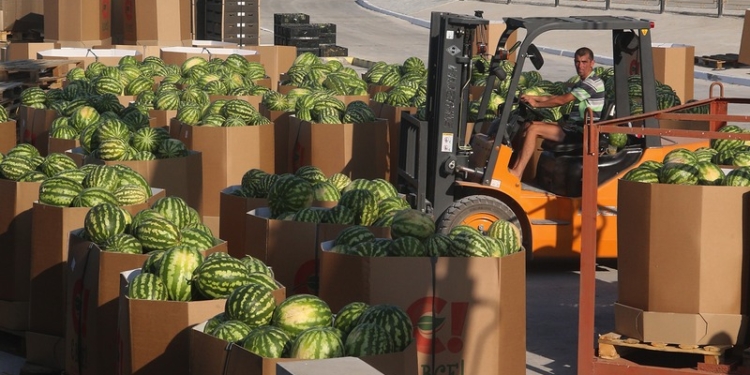 Радуйтесь, киевляне, “НИБУЛОН” готовит следующий “полосатый рейс”