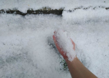 Во Львовской области выпал град размером с вишню