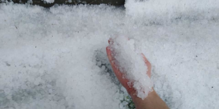 Во Львовской области выпал град размером с вишню