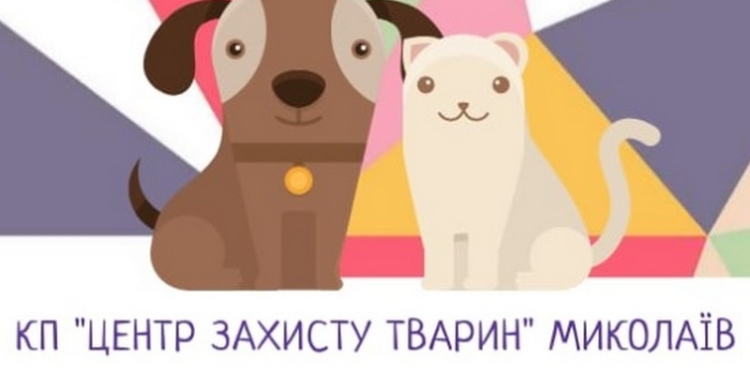Николаевский «Центр защиты животных» сэкономил на покупке кормов 330 тыс.грн. – тендерный договор с ООО «Метро Кэш энд Керри Украина» подписан