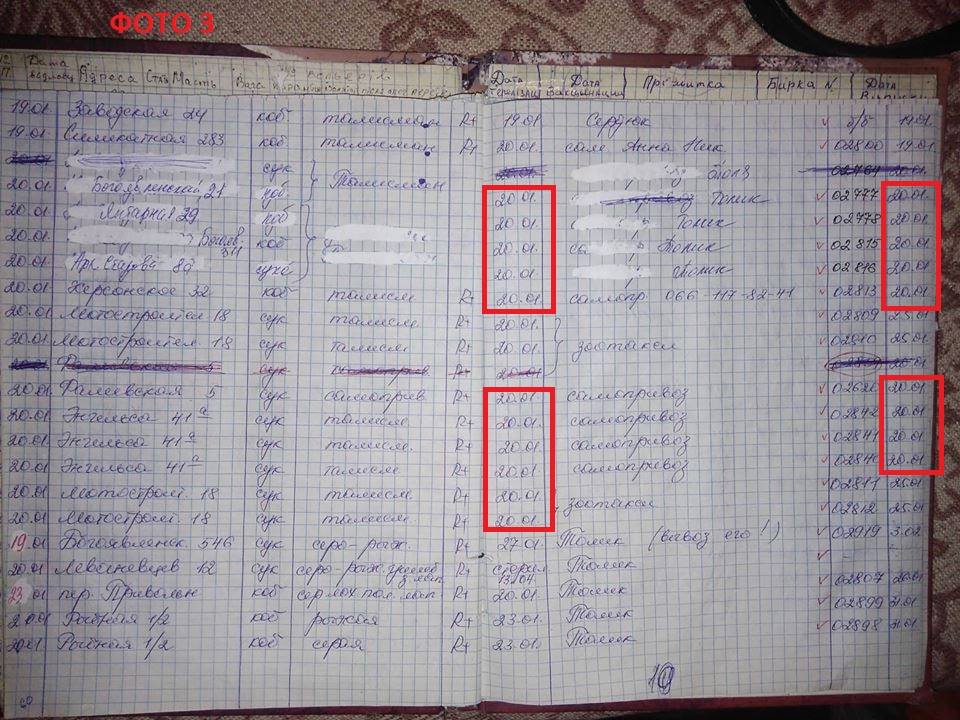 Как Николаев стал "городом собак": бывшее руководство КП "Центра защиты животных" подозревают в подделке документов о стерилизации собак 6