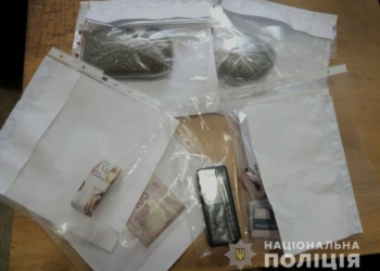 В Николаеве полиция задержала наркоторговца, который “специализировался” на конопле