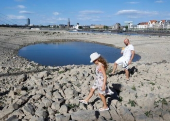 Аномальная жара в Европе штурмует рекорд 1977 года. Как спасаются люди и животные