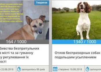 На сайте Николаевского горсовета  две “собачьи” петиции: сторонники эвтаназии уже прошли барьер