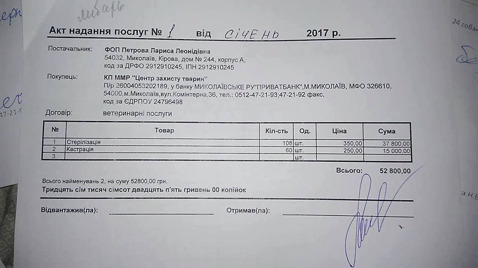 Как Николаев стал "городом собак": бывшее руководство КП "Центра защиты животных" подозревают в подделке документов о стерилизации собак 8