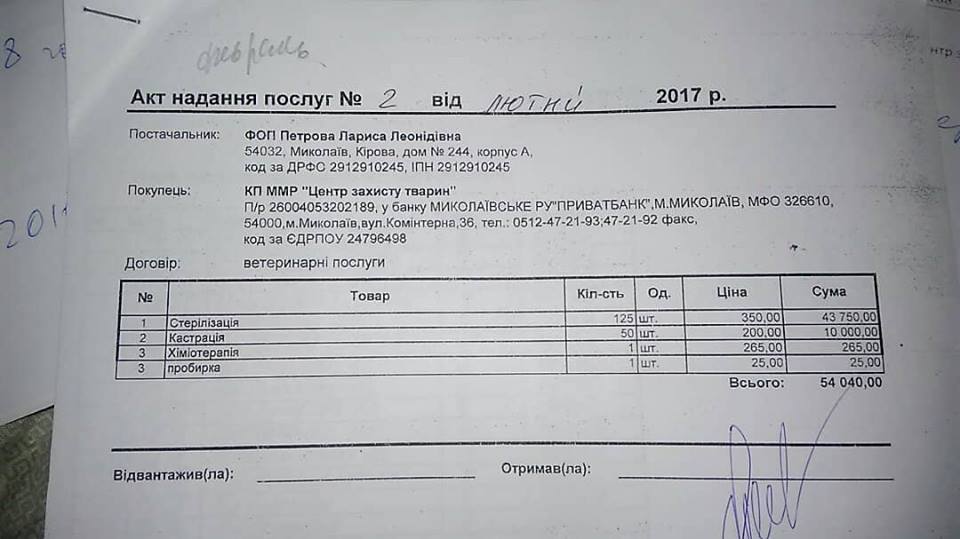 Как Николаев стал "городом собак": бывшее руководство КП "Центра защиты животных" подозревают в подделке документов о стерилизации собак 10