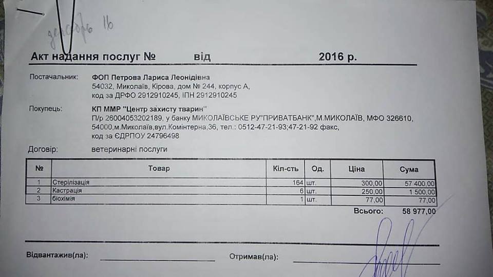 Как Николаев стал "городом собак": бывшее руководство КП "Центра защиты животных" подозревают в подделке документов о стерилизации собак 12