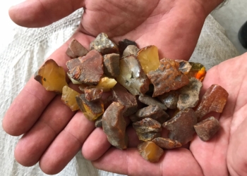 Из Украины в Литву пытались вывезти полтонны янтаря