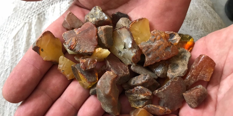 Из Украины в Литву пытались вывезти полтонны янтаря