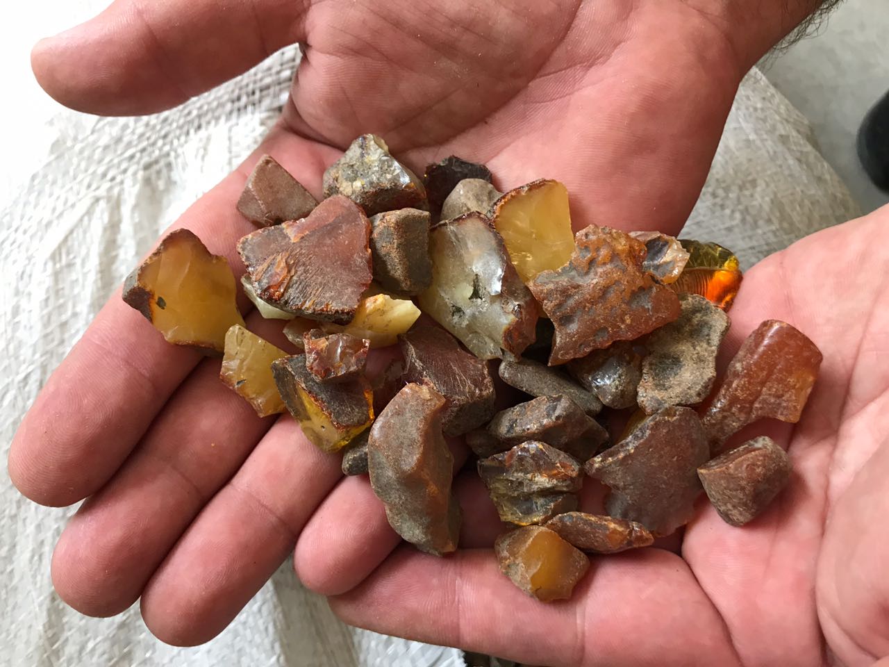 Из Украины в Литву пытались вывезти полтонны янтаря