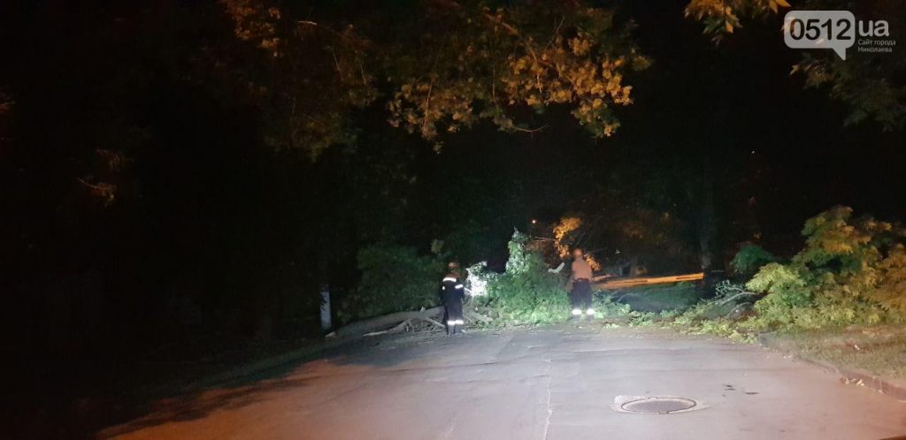 Спасателям ночью пришлось убирать дерево, которое упало на перекрестке Московской и Спасской 4