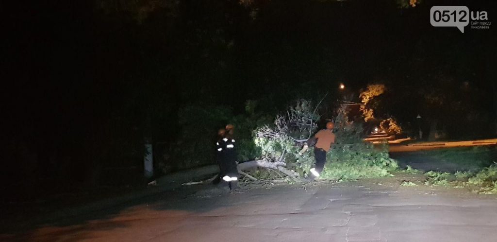 Спасателям ночью пришлось убирать дерево, которое упало на перекрестке Московской и Спасской 2