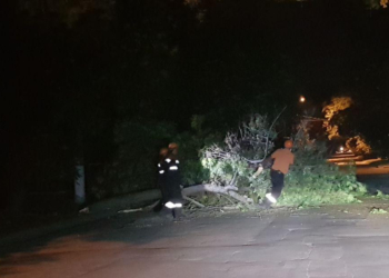 Спасателям ночью пришлось убирать дерево, которое упало на перекрестке Московской и Спасской