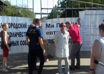 Блокада “зоозащитников” принесла свои плоды: трупы собак с улиц Николаева больше убирать некому