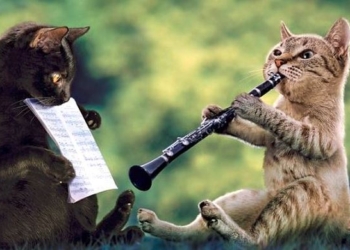 Завтра в Украине без осадков, температура до +33