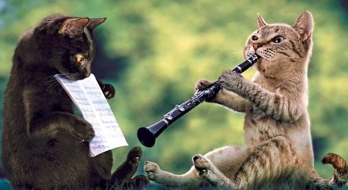 Завтра в Украине без осадков, температура до +33