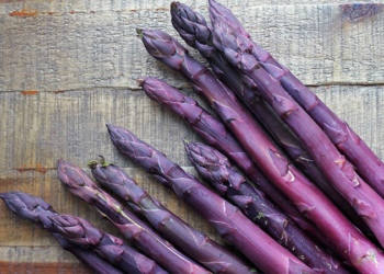 Можно заработать. В Европе в моде фиолетовая спаржа, она в 2 раза дороже обычной