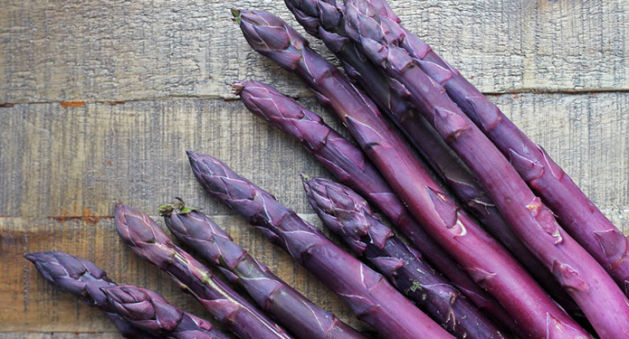 Можно заработать. В Европе в моде фиолетовая спаржа, она в 2 раза дороже обычной