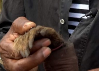 В Малави журналистов BBC приняли за ритуальных убийц и атаковали