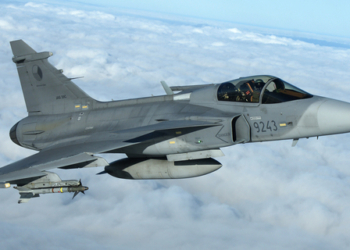 В Швеции из-за птиц потерпел крушение истребитель