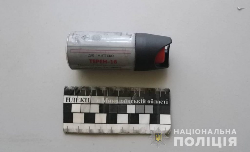 На Николаевщине заезжий бандит украл вещи из автомобиля, пока уставшие хозяева спали в салоне 9