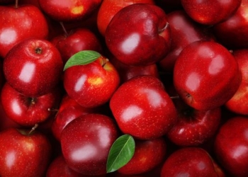 Кто ест украинские яблочки? Беларусь и Австрия – это понятно, но Венгрия и Молдова…